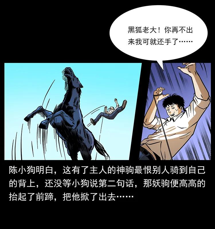 158 妖驹的选择33