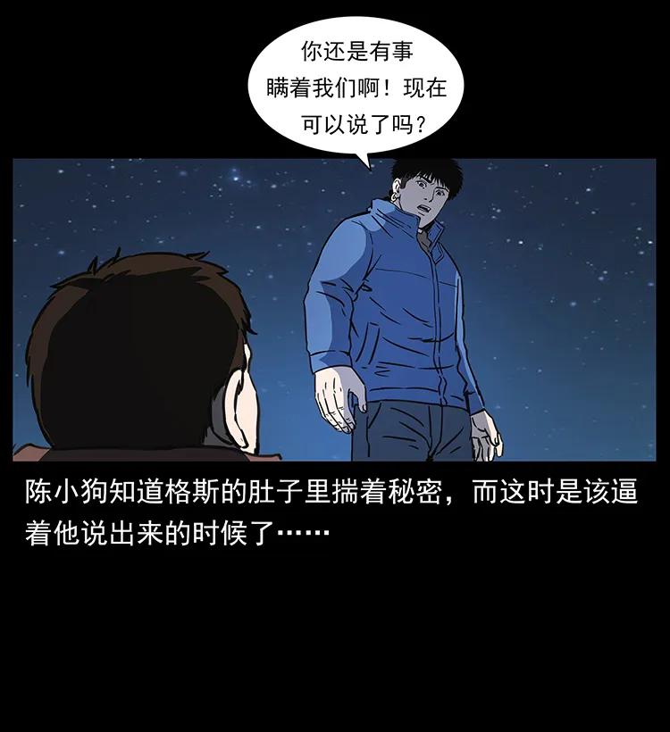 265 出发，乔戈里！78