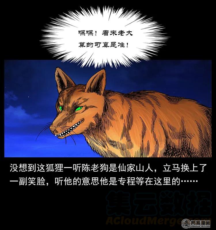 143 出马黑狐8