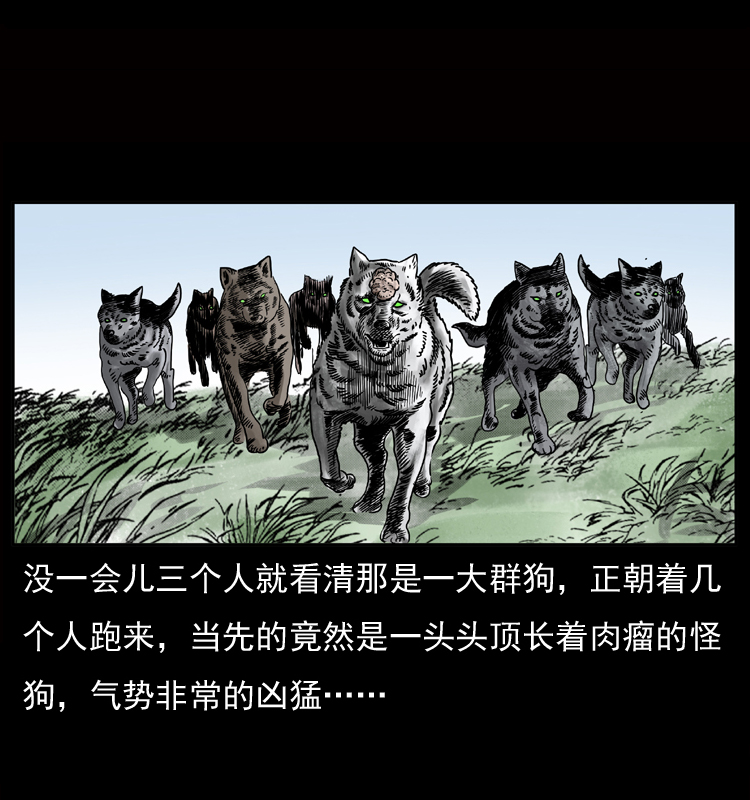 050 刨尸狗传奇329