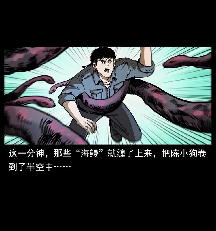242 陈小狗失算了30