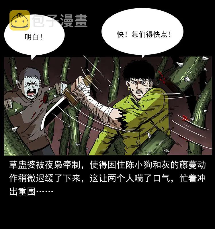 193 草蛊婆58