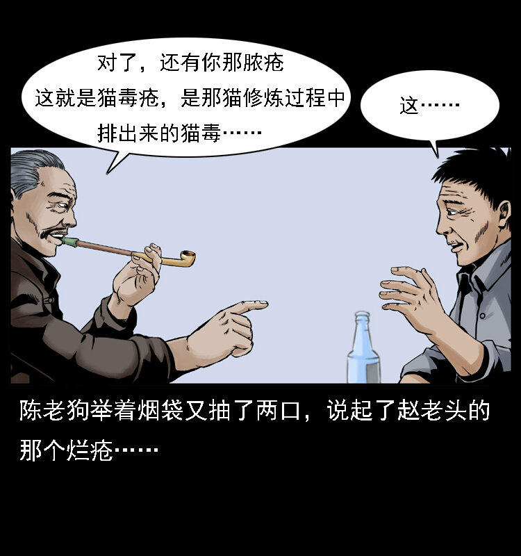 003 赵家的猫61