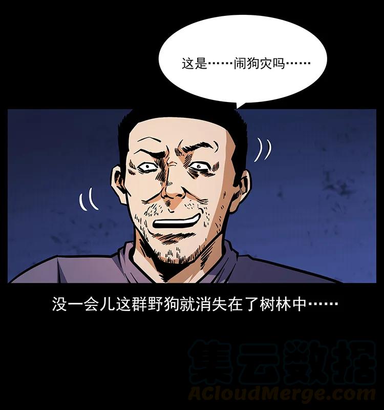 170 布局20