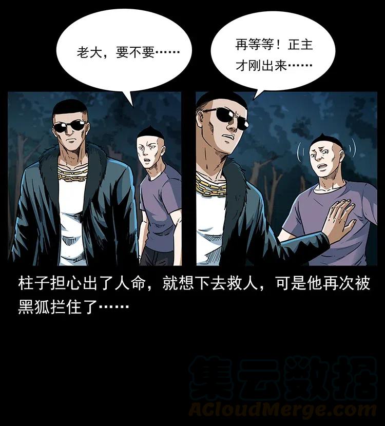311 一窝生几个？24