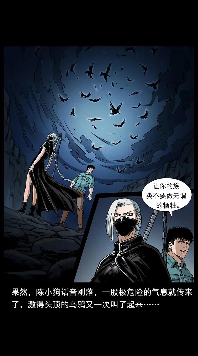 370 乌翅凤凰73