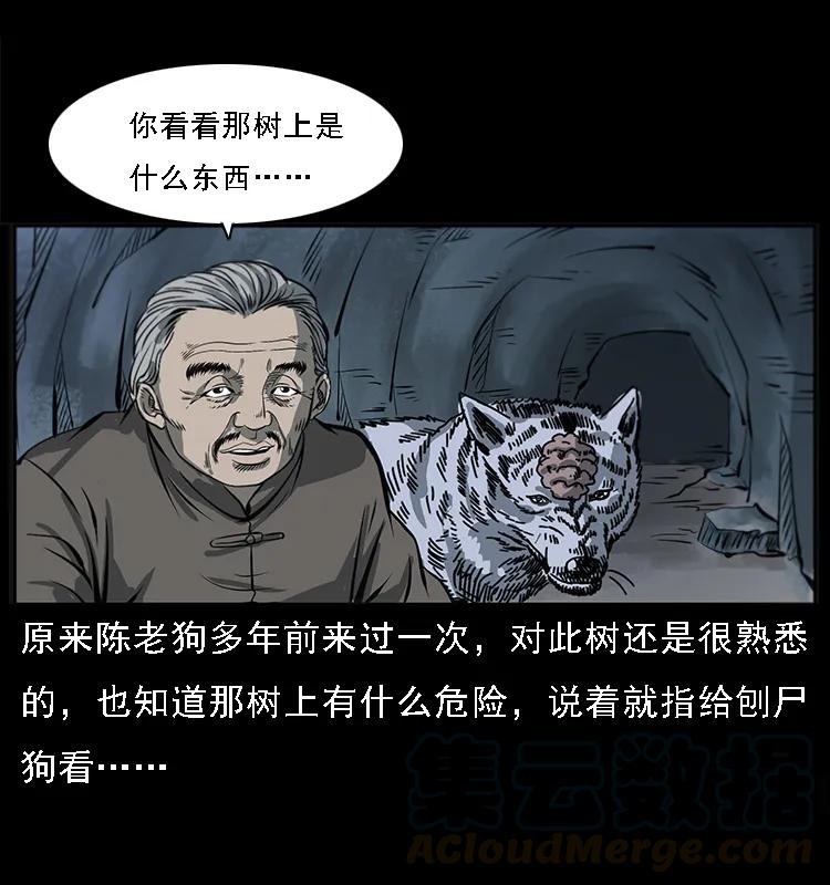 082 鬼桃树28