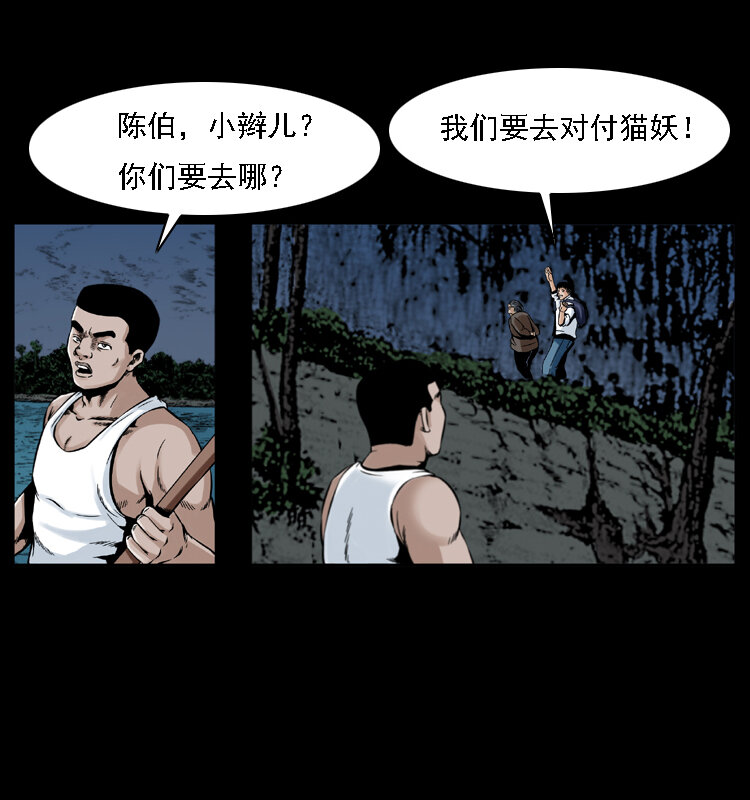 003 赵家的猫9