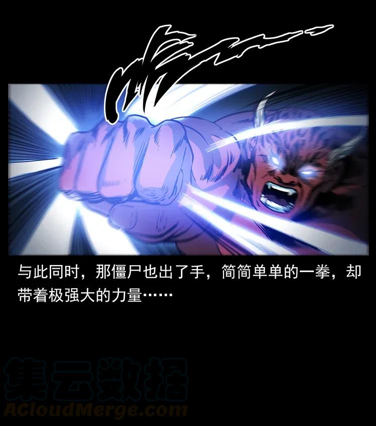 372 天击雷尸39