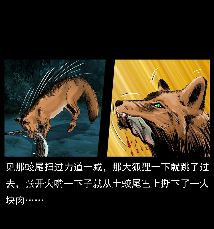 029 斗土蛟38