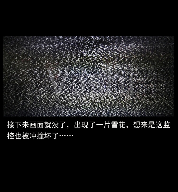 409 囚徒陈小狗74