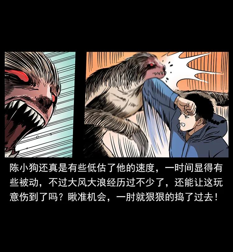 267 万山之祖——昆仑！46