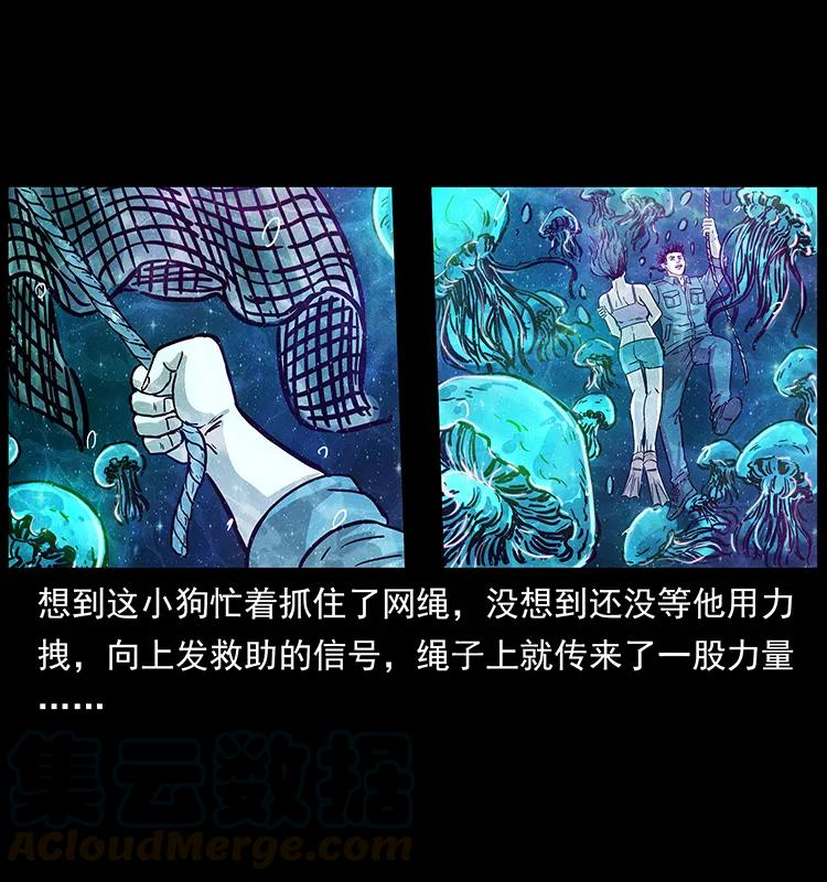 240 意外频发的诱捕28