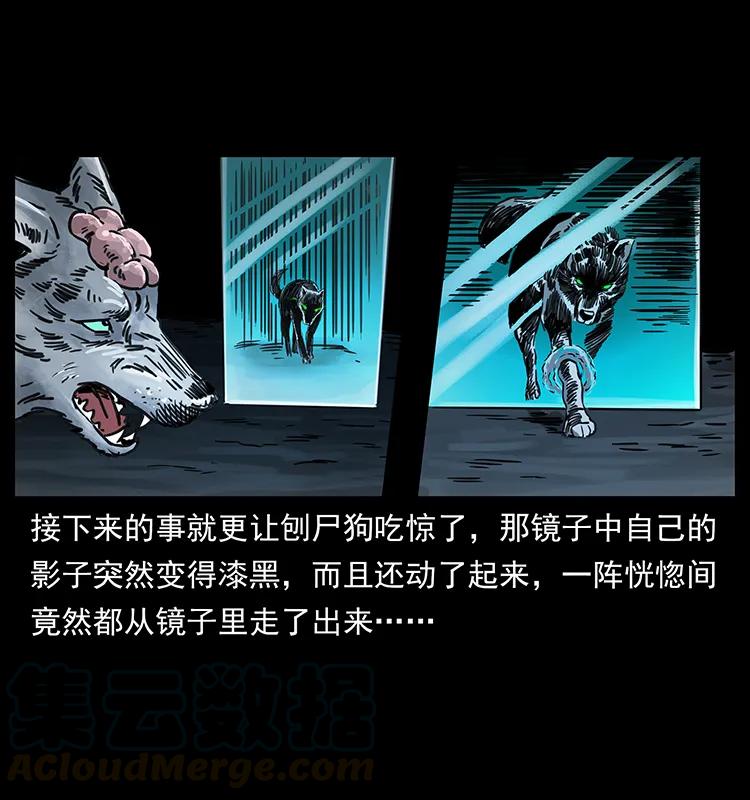 251 刨尸狗遇险80
