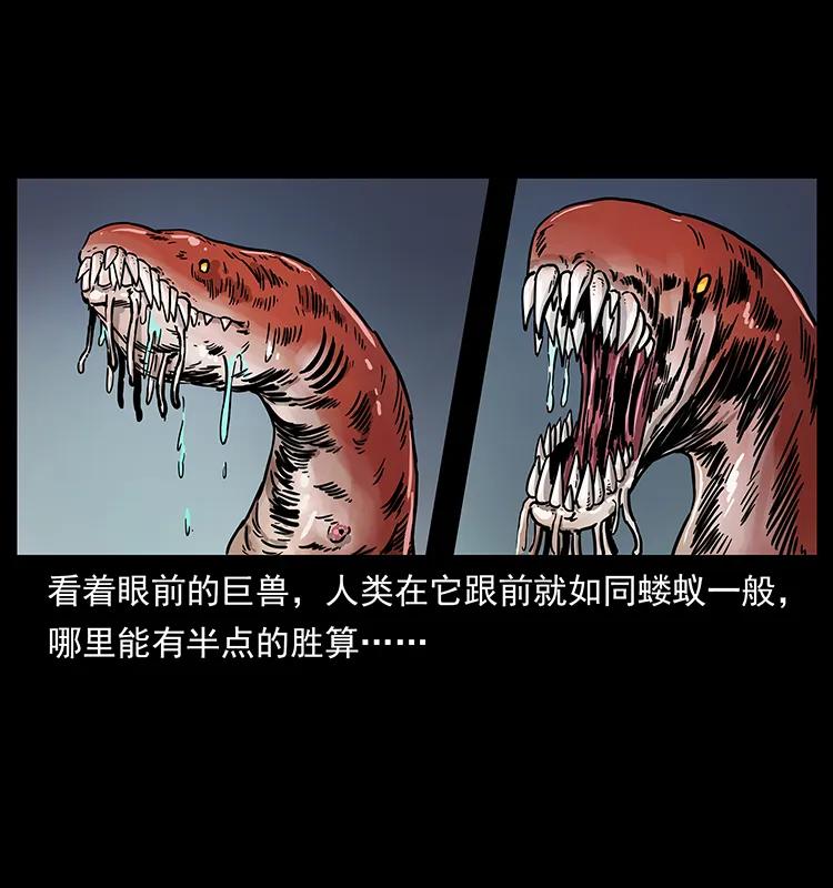 242 陈小狗失算了62