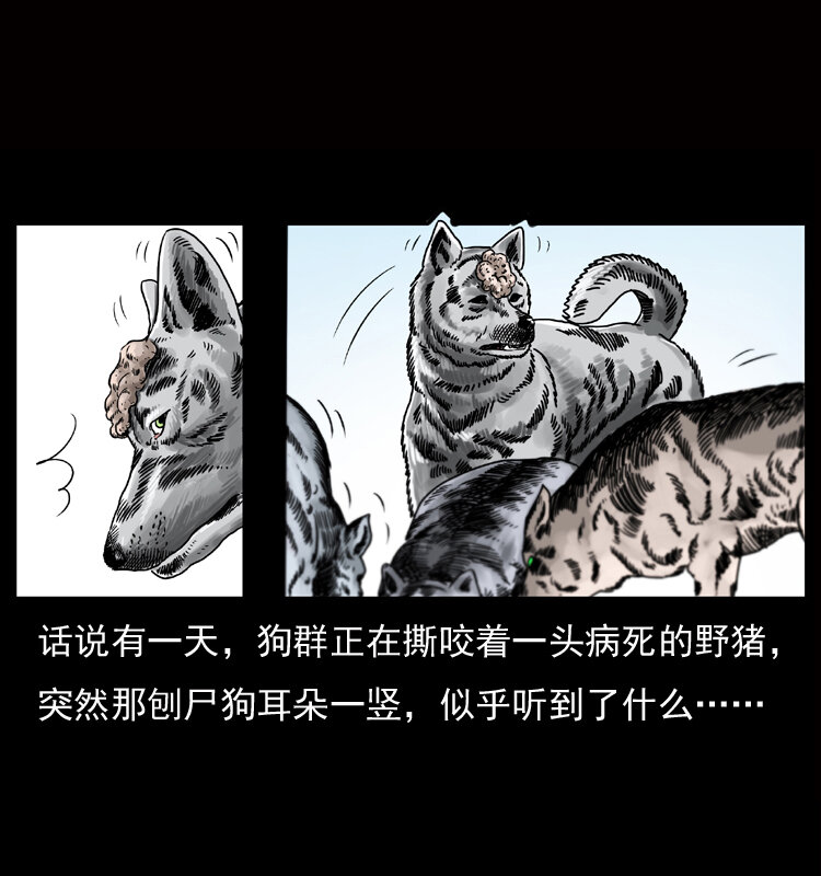 050 刨尸狗传奇34