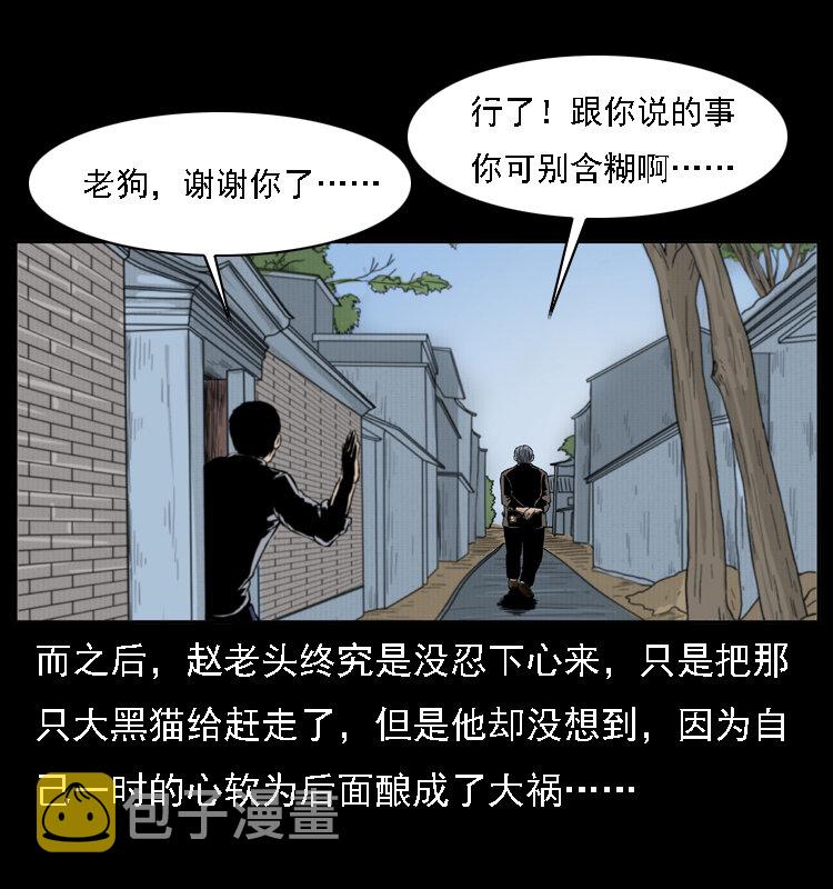 003 赵家的猫67