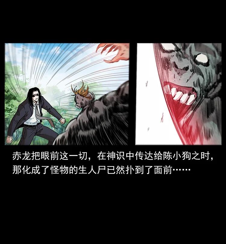 385 险象丛生82