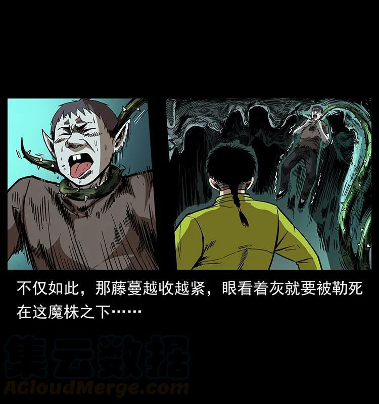 193 草蛊婆24