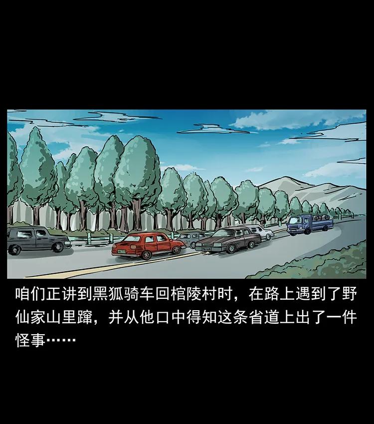 226 铁棺冢1