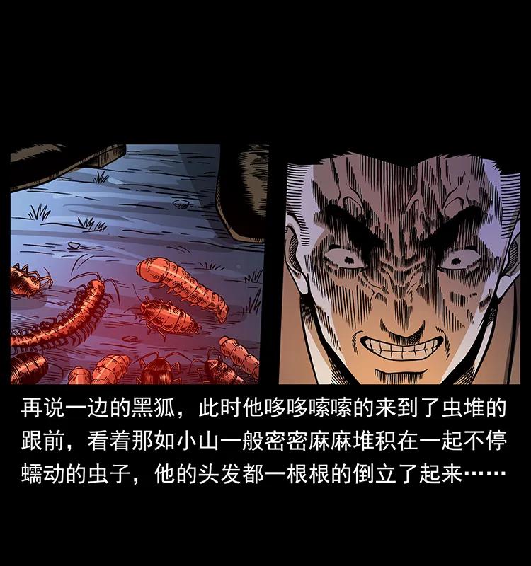 161 虫佛62