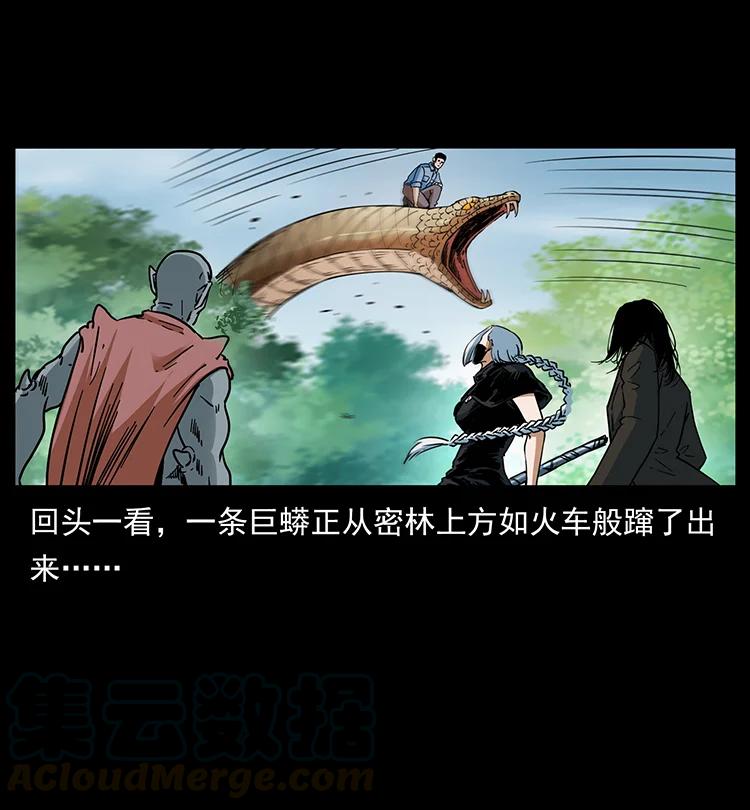 391 散仙9