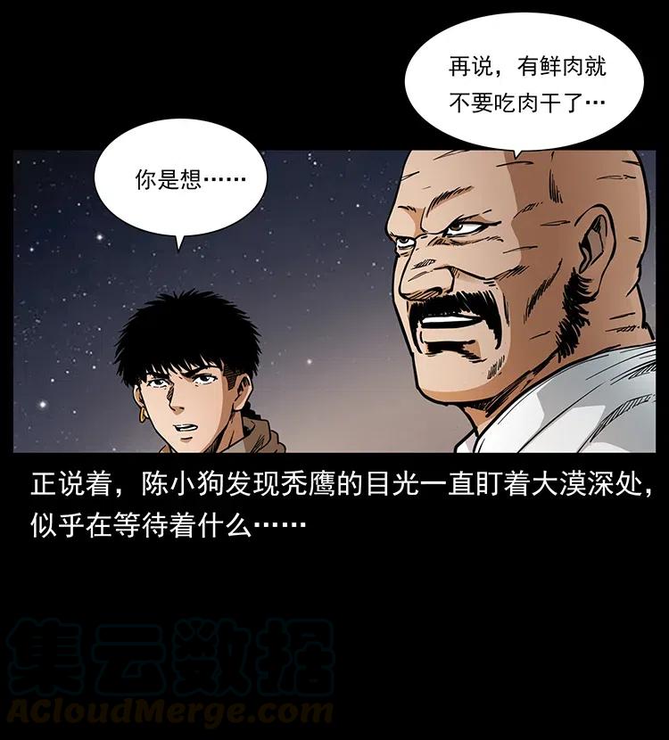 318 沙漠秃鹰20