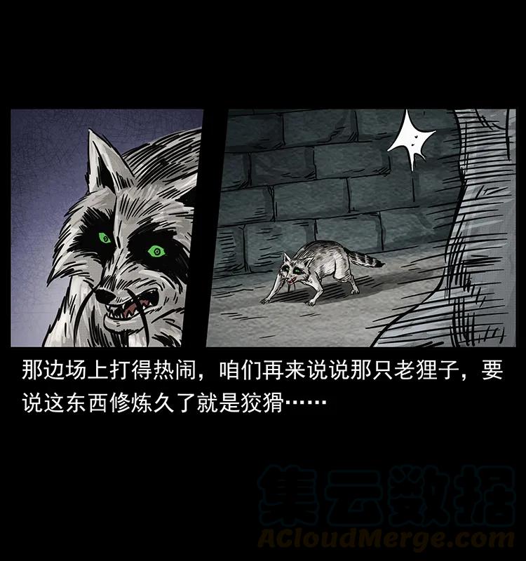 252 危机！危机80