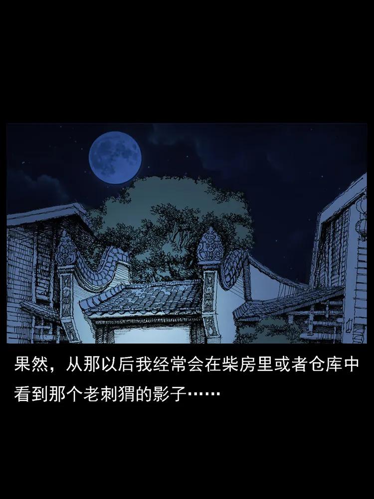 番外2 之保家白仙39
