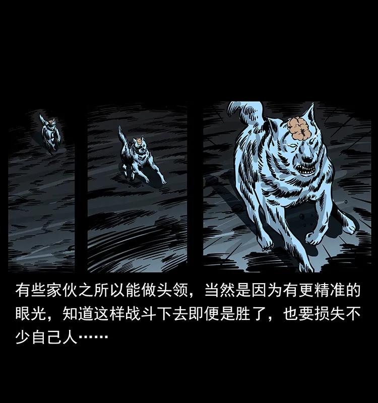 179 龙家的实力33