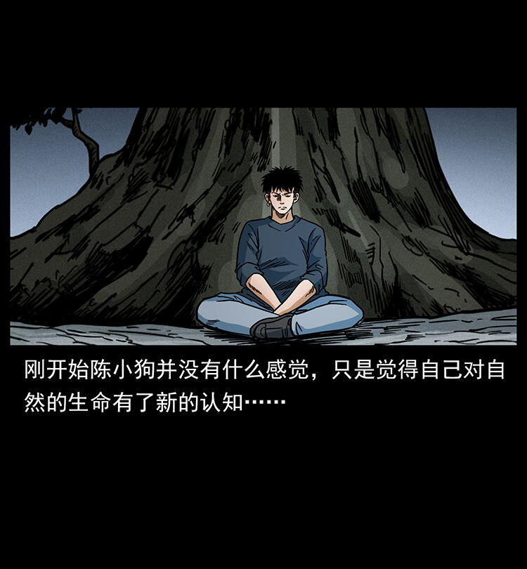 482 以树为启点60