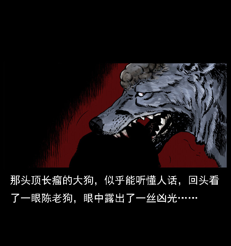 004 猫妖65