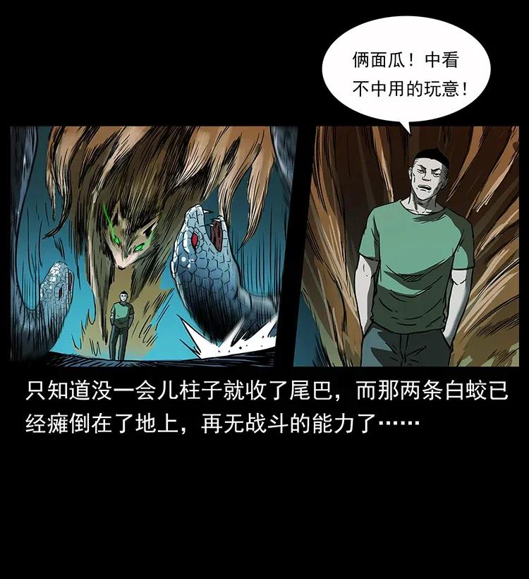 283 神域守门人54