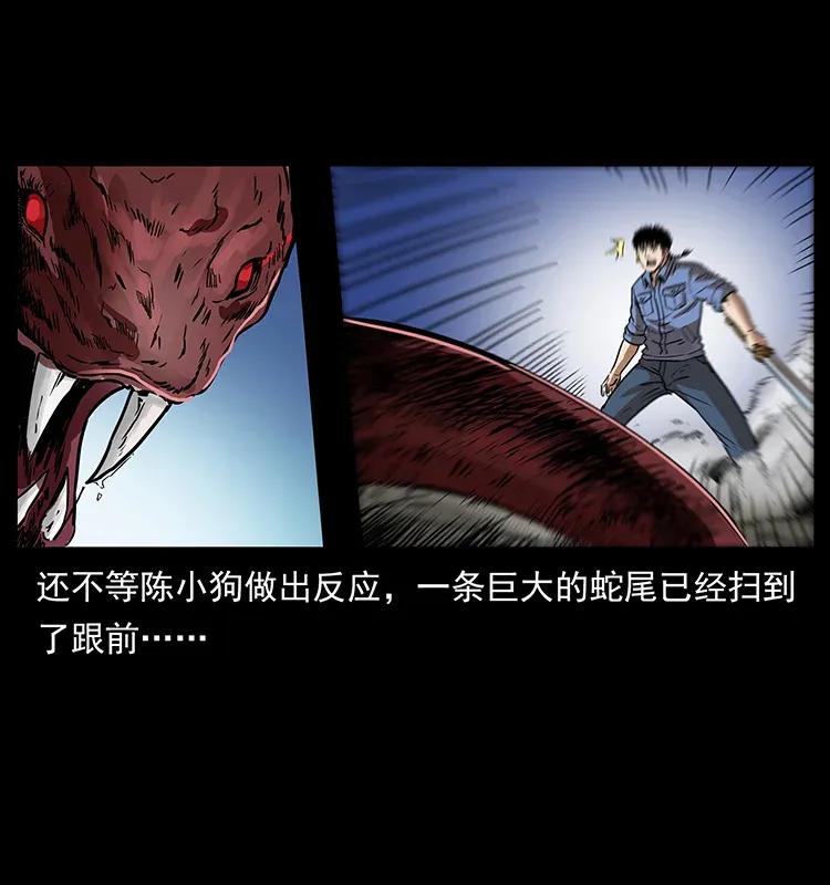 288 强者归队！41