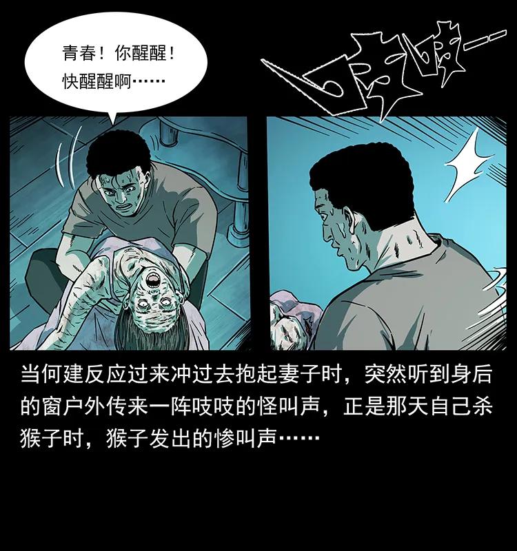 228 凶兽39