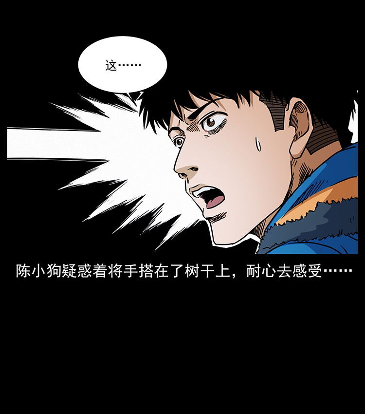 481 树32
