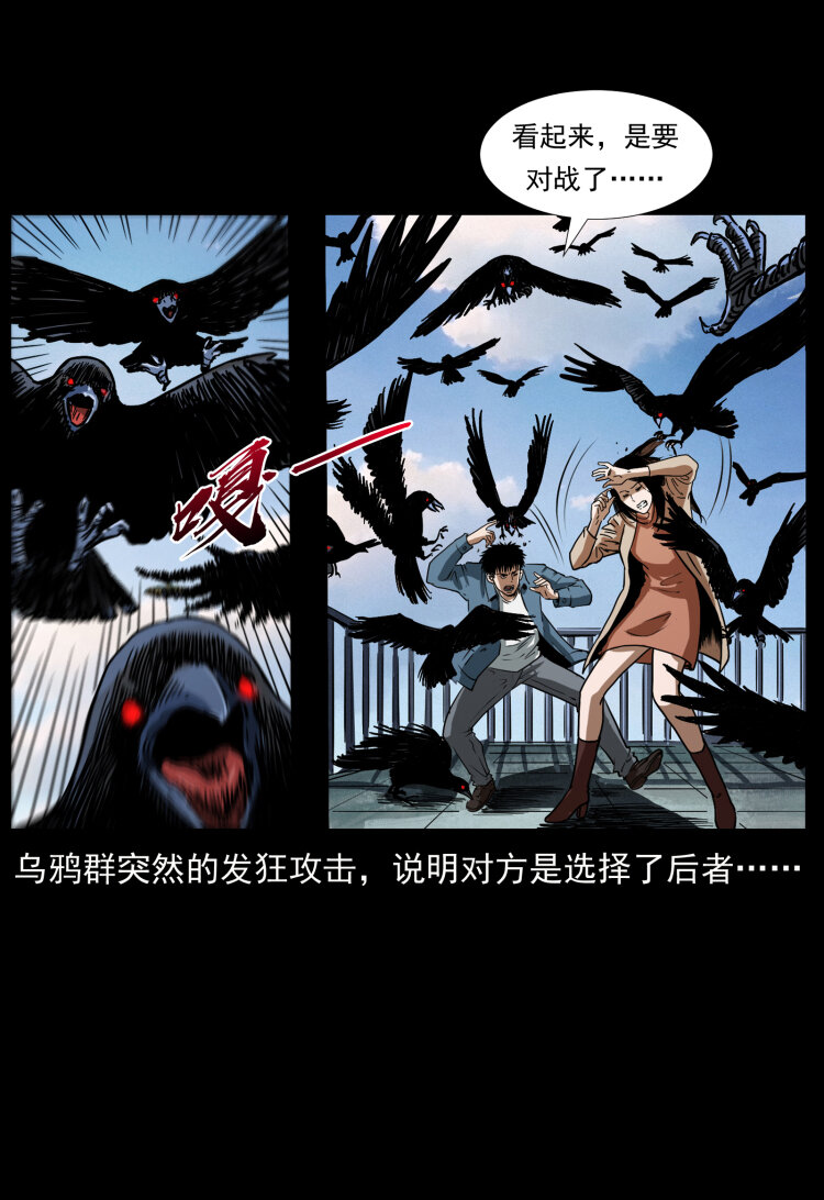 407 安稳日子？不存在的！50