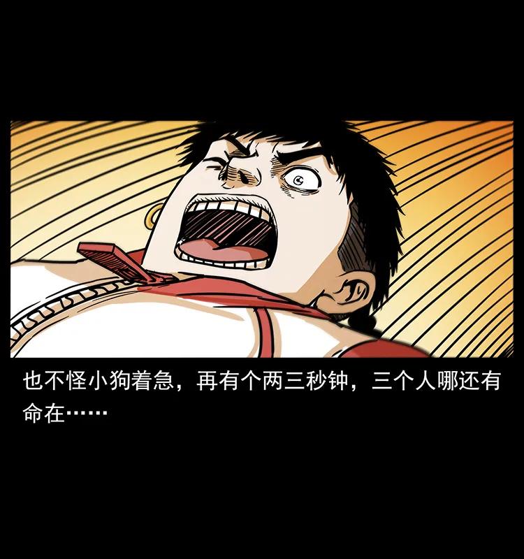 220 漠北白狼王53