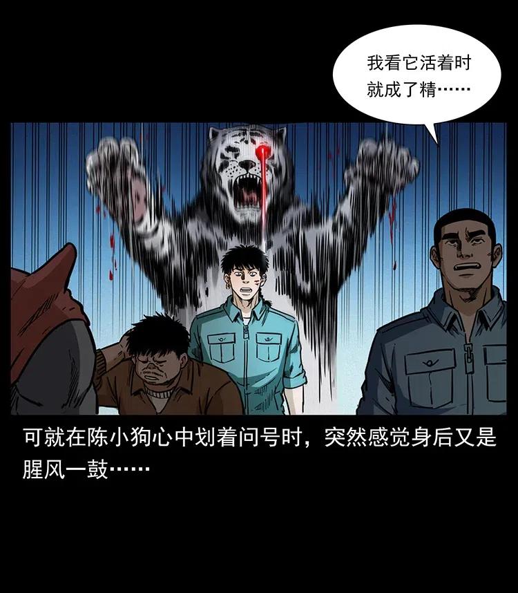 342 白毛僵尸57