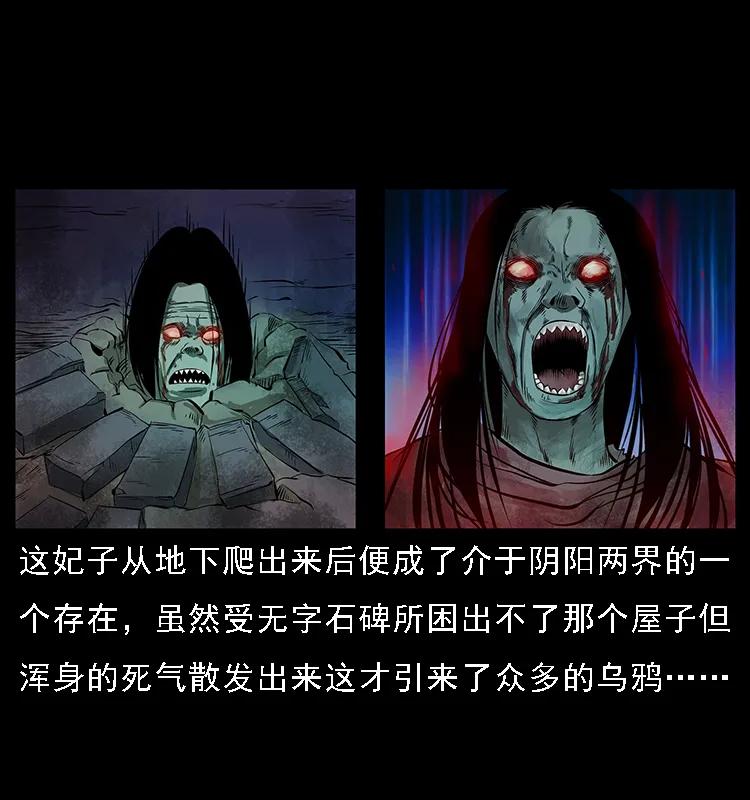 086 冷寒宫冤魂49