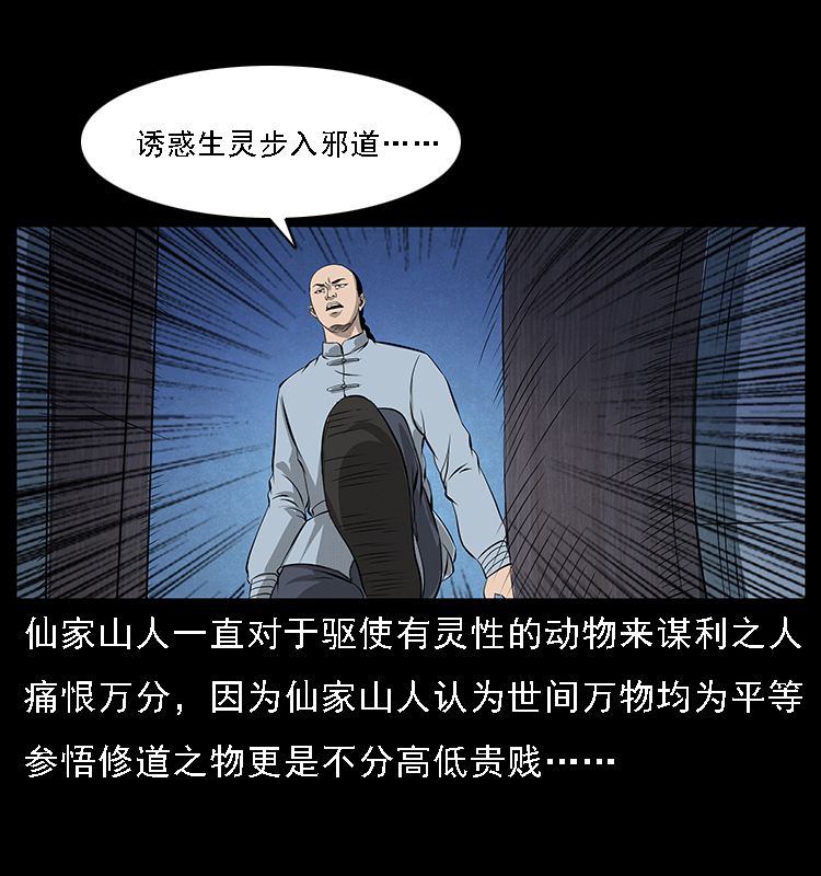 064 役兽妖人17