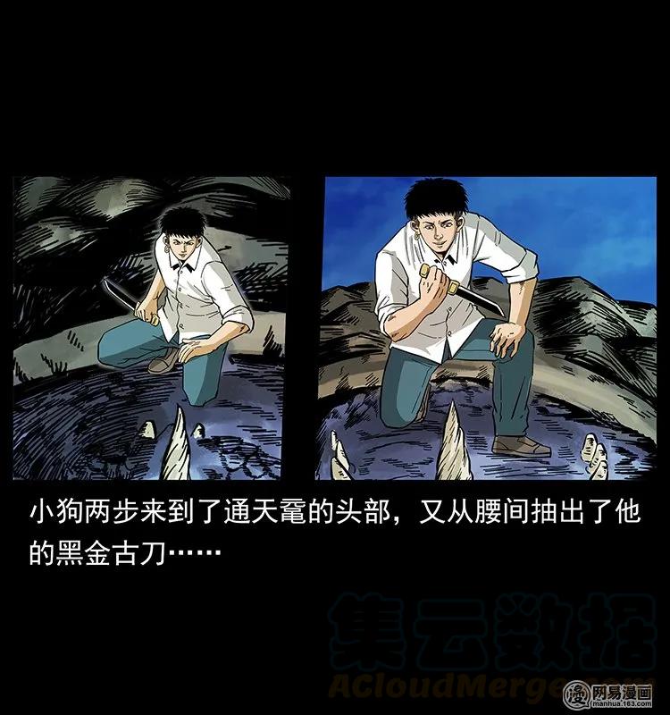 130 大战通天鼋72