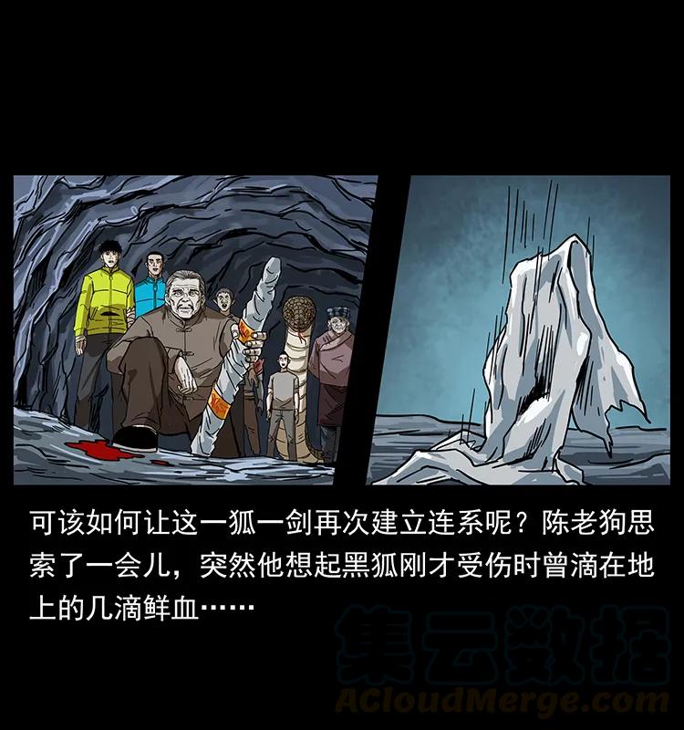 199 黑狐不好惹76