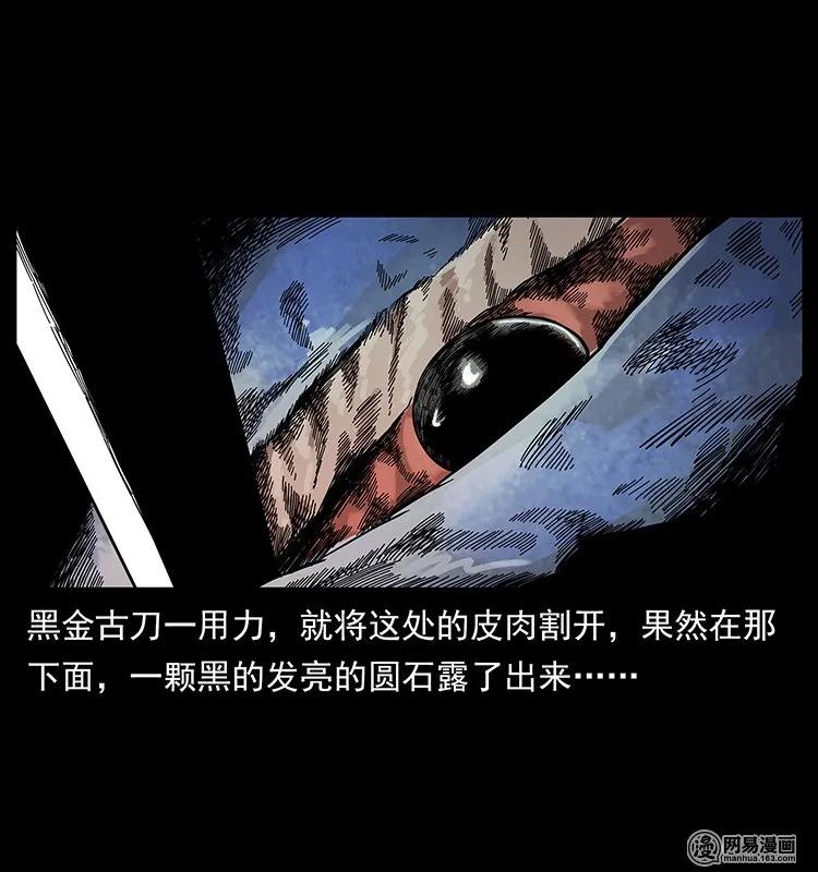 130 大战通天鼋74