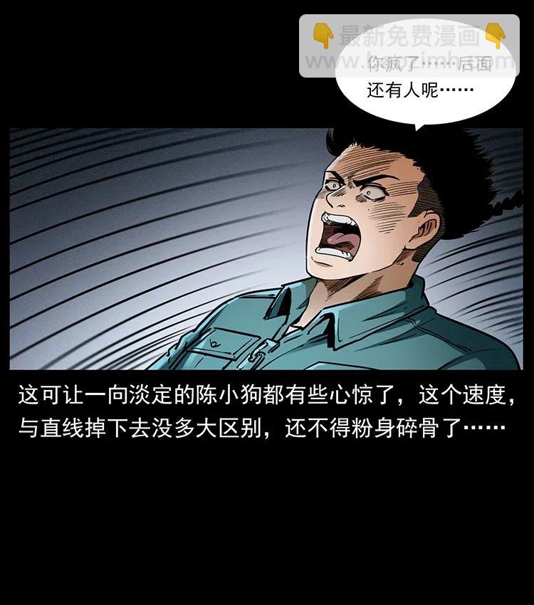 370 乌翅凤凰11