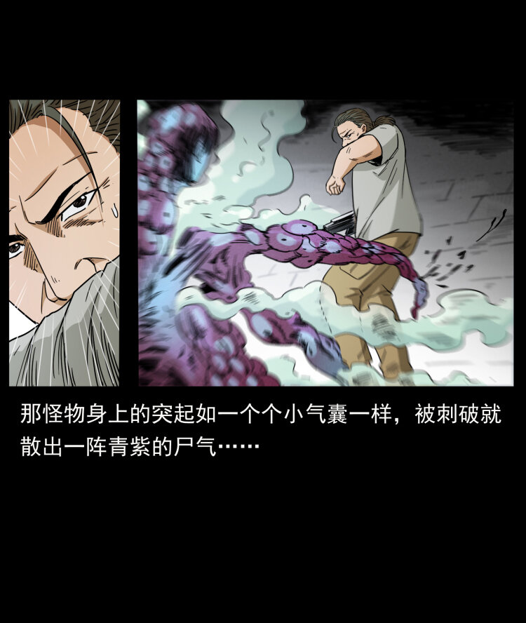 438 变异尸毒62