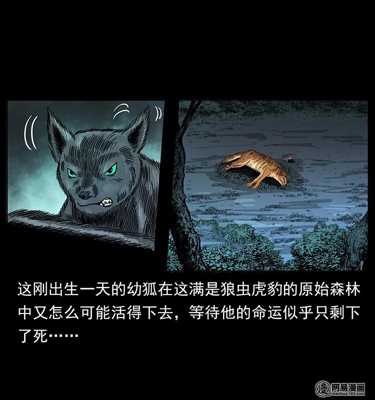 142 黑狐22