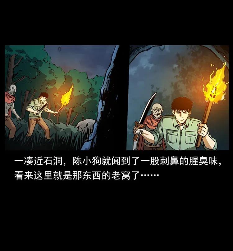 342 白毛僵尸18