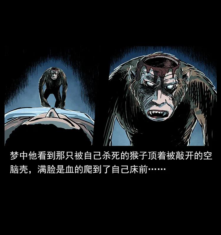 228 凶兽31