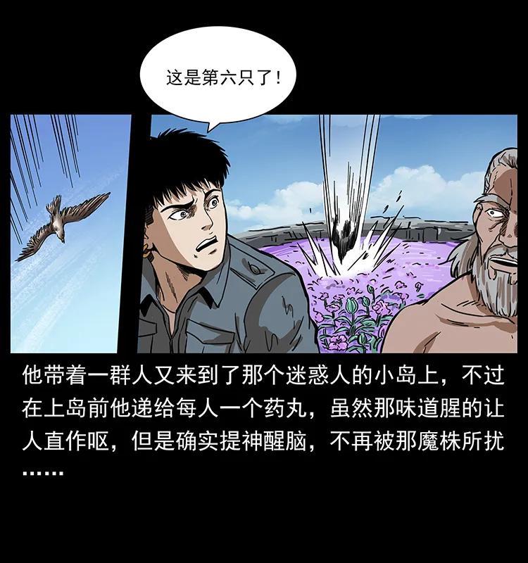249 风平浪静63